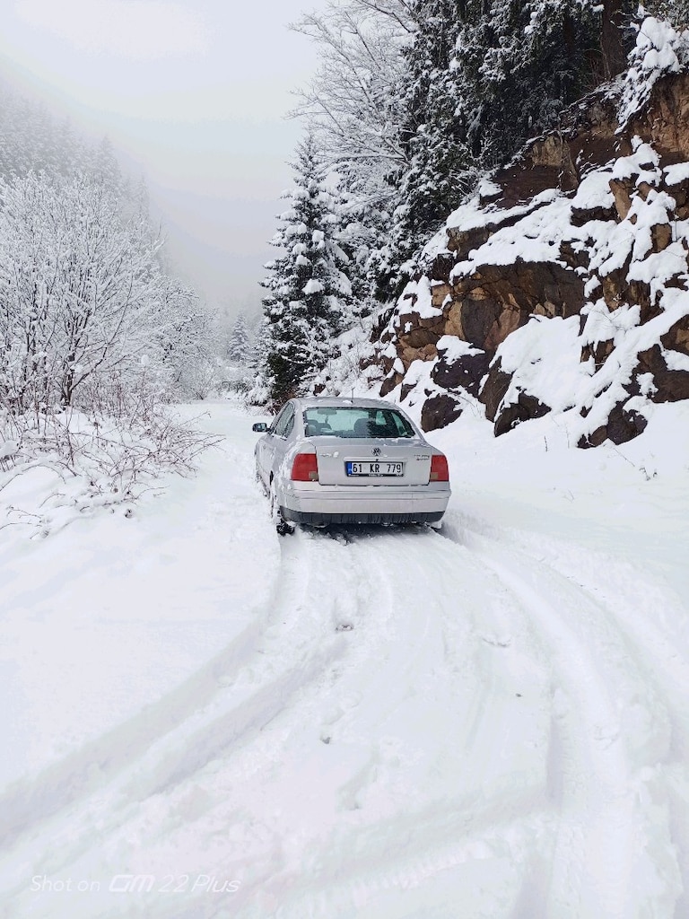 Passat 2.5 TDI V6 4 motion guatro 4 çeker - 12