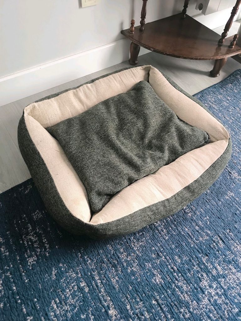 köpek yatak 50*70 cm + 35 ve 43 cm Lik boyun+ eğitim tasmasi hediye - 11