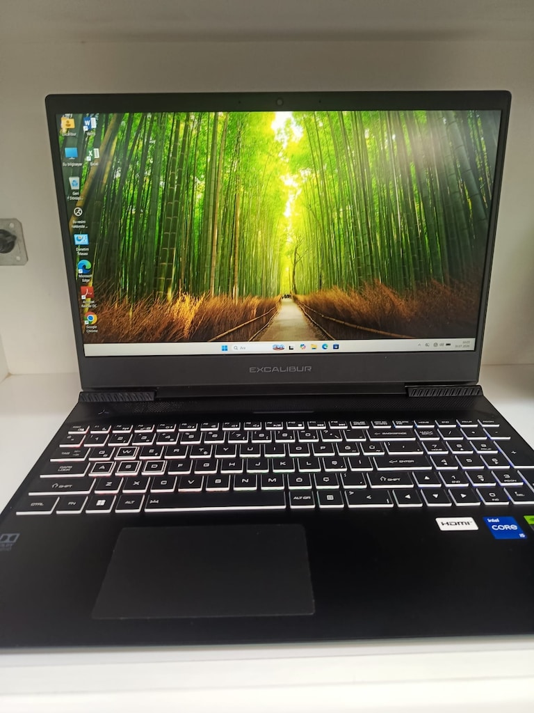 EXCALİBUR G770 GAMİNG İ5 12450H İŞLEMCİ + 3050 4GB EKRAN KARTI - 16