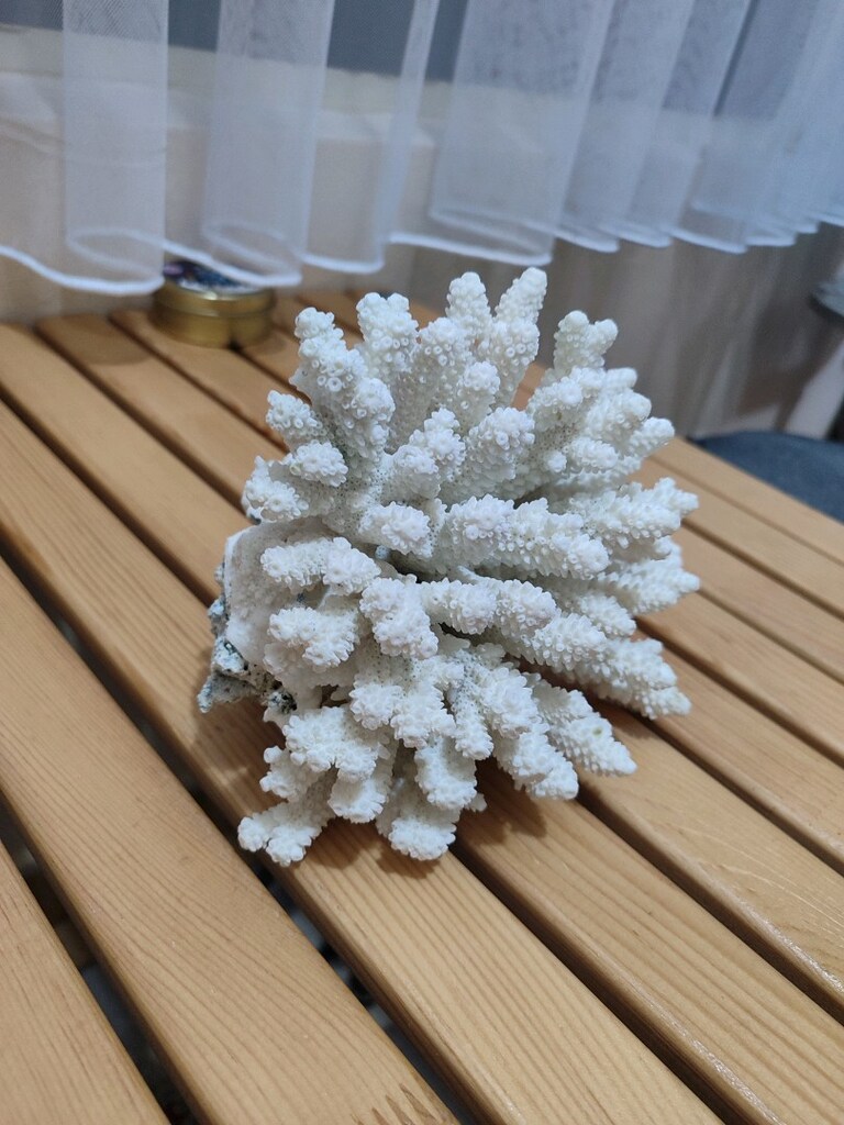 Akvaryum Dekor Mercan - 2