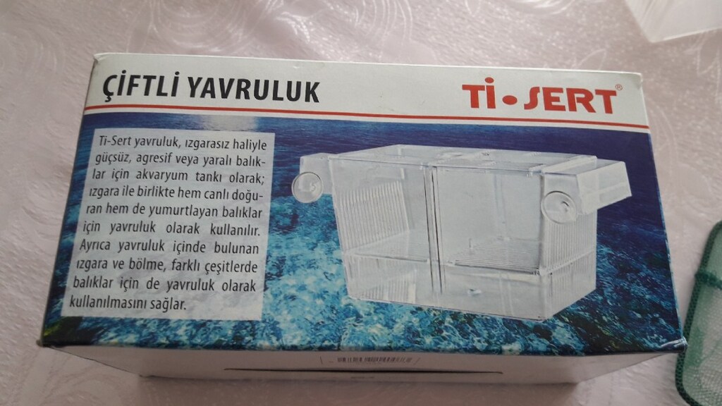akvaryum yavruluk ve kepçe - 3