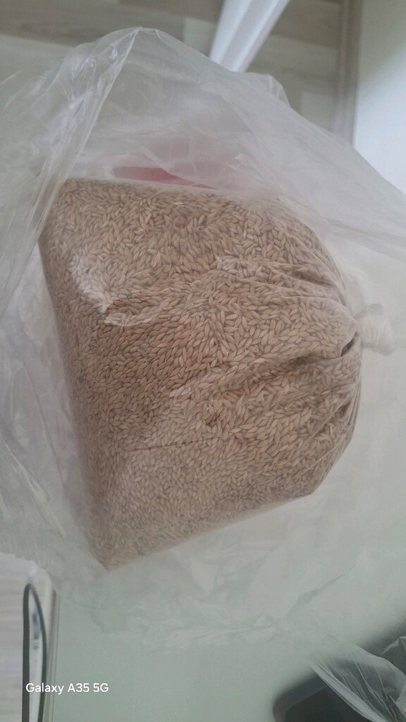 kanarya yemi 1 kg - 2