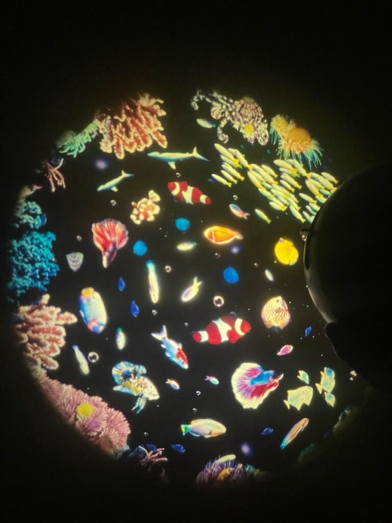 Pococo Galaxy Projektör - 8