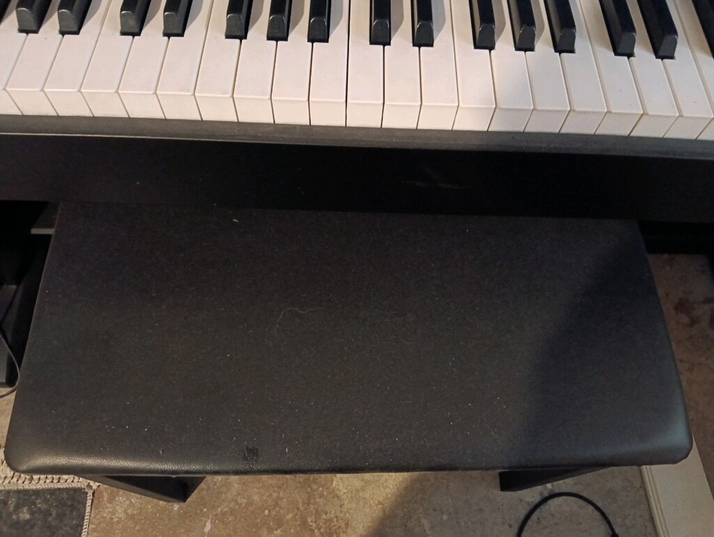 casio piyano celvia 270 ap ciziksiz - 6