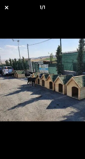 köpek kulübesi