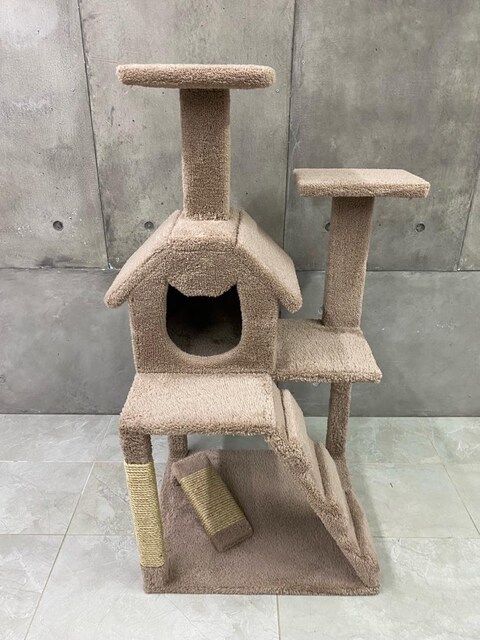 kedi evi