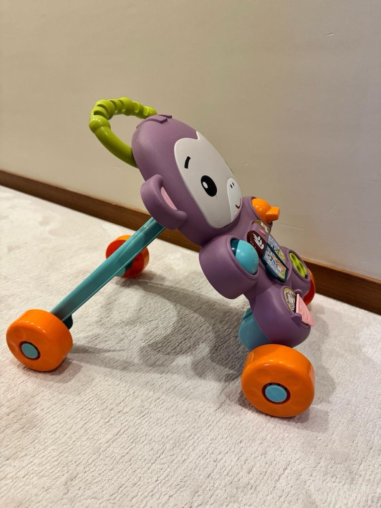 Fisher-Price Eğitici Yürüme Arkadaşı - 4
