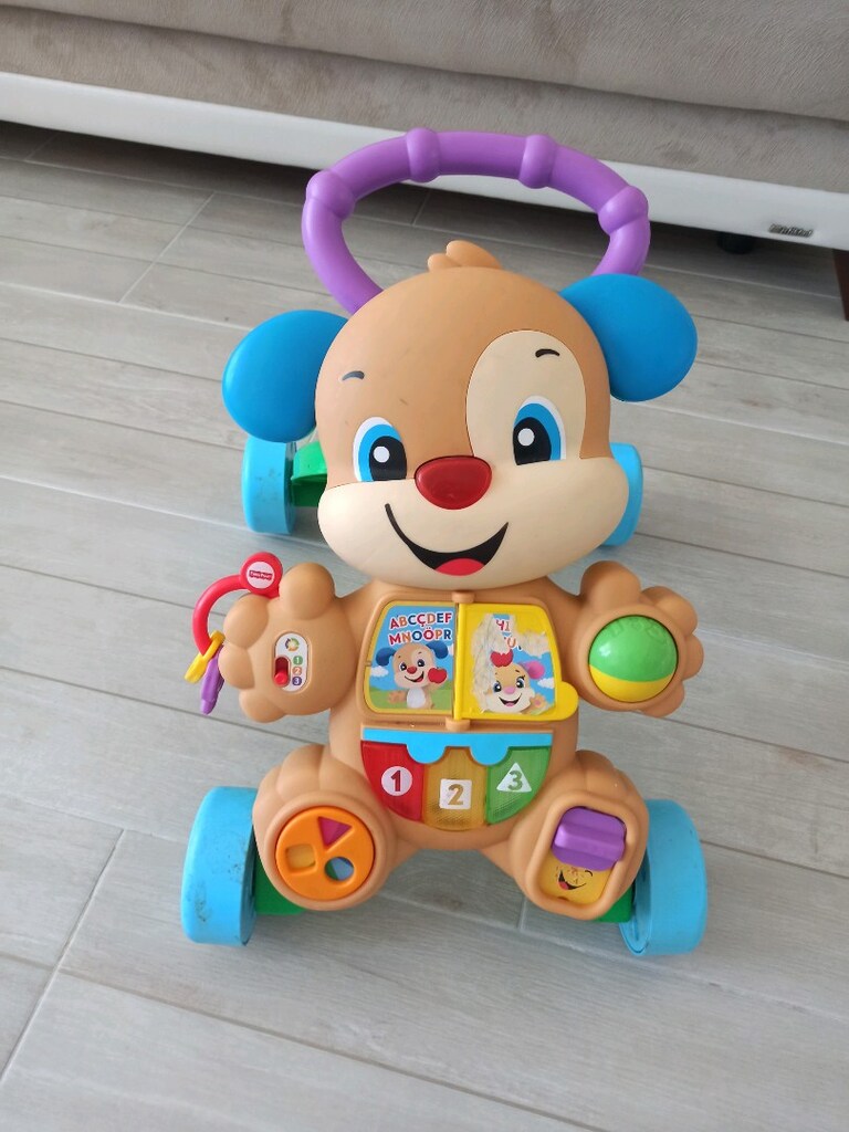 fisher price yürüme arkadasi - 2