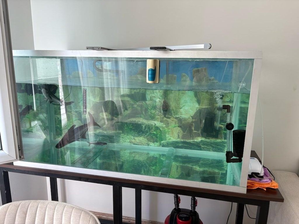 pengasuslar ve odun pengasus 40 cm - 3