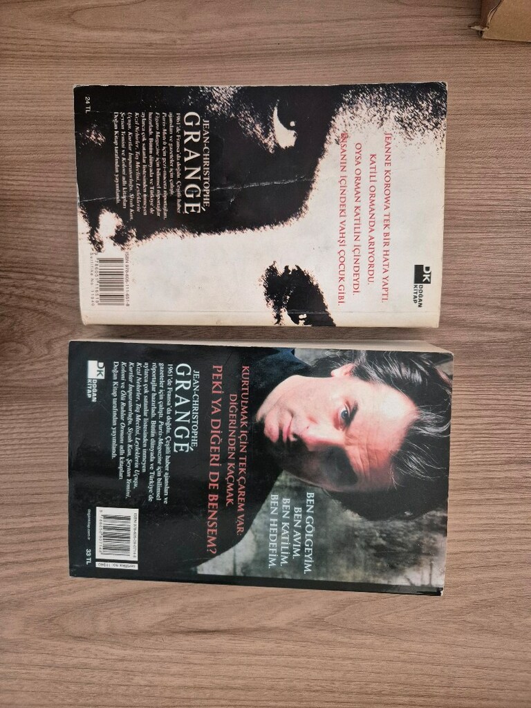 2 adet kitap ölü ruhlar ormanı ve sisle gelen yolcu kitapları - 3