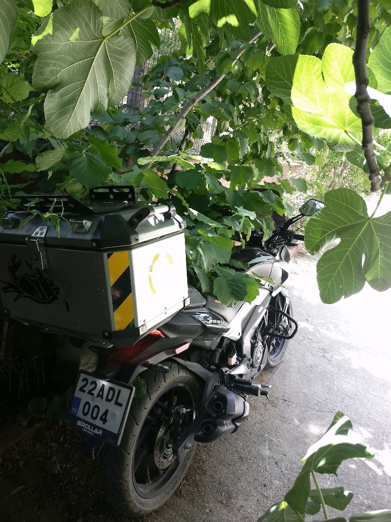 dominar 250 D - 3