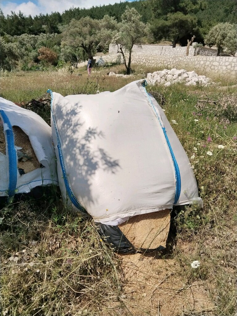 Çam ağacı talaşı, kedi evcil hayvan için - 4