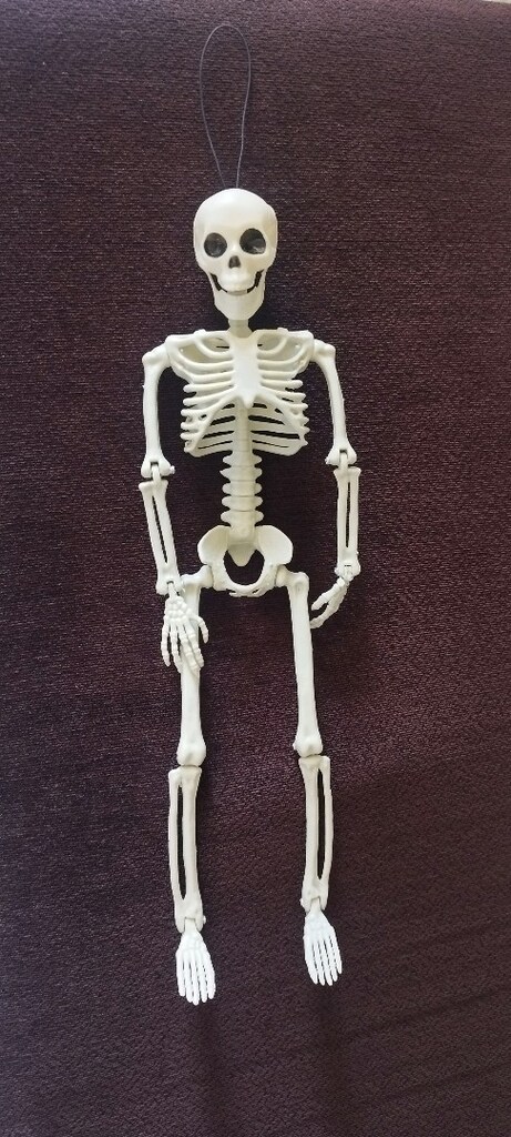 full eklemleri oynak iskelet figür - 3