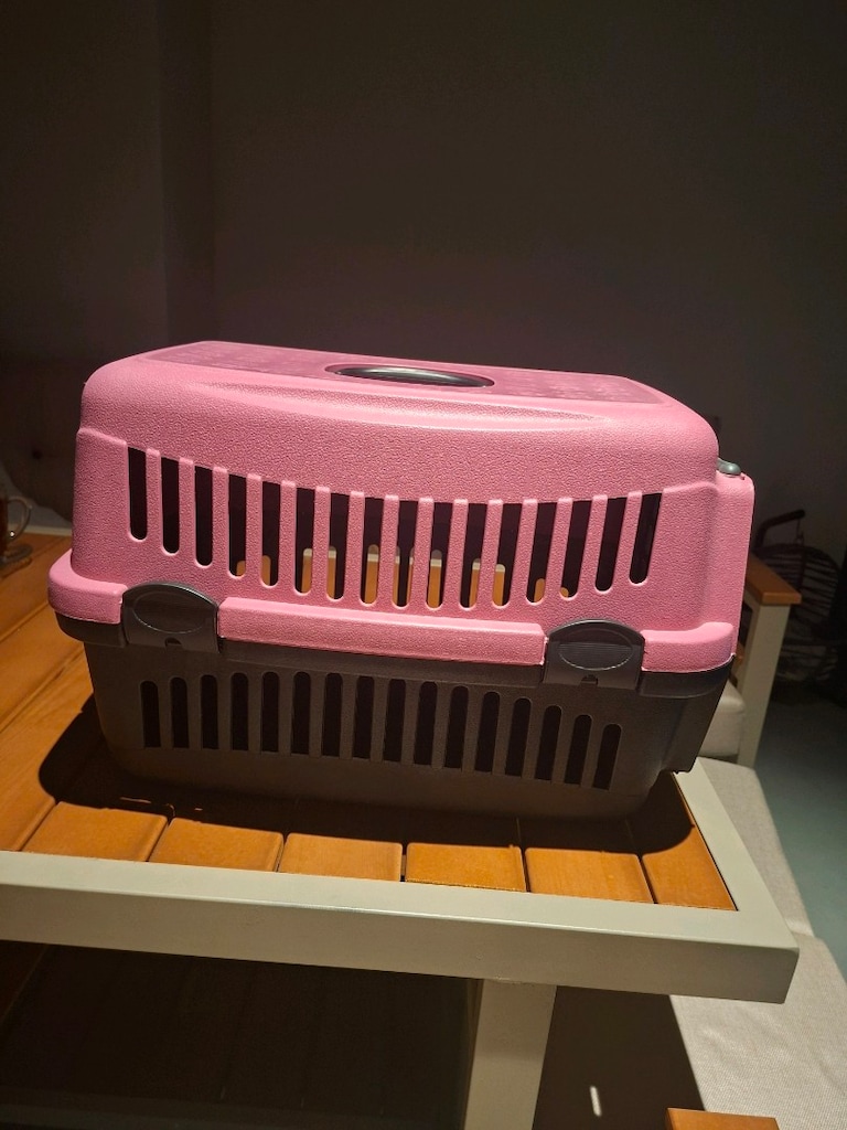 Kedi malzemeleri - 8