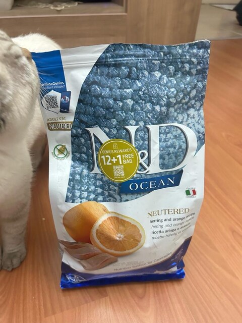 Kedi maması