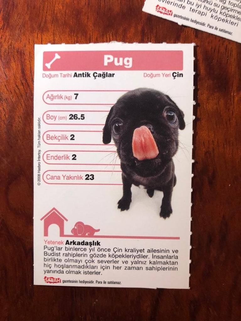 Top Trumps Hasbro Köpekler Kartları - 3
