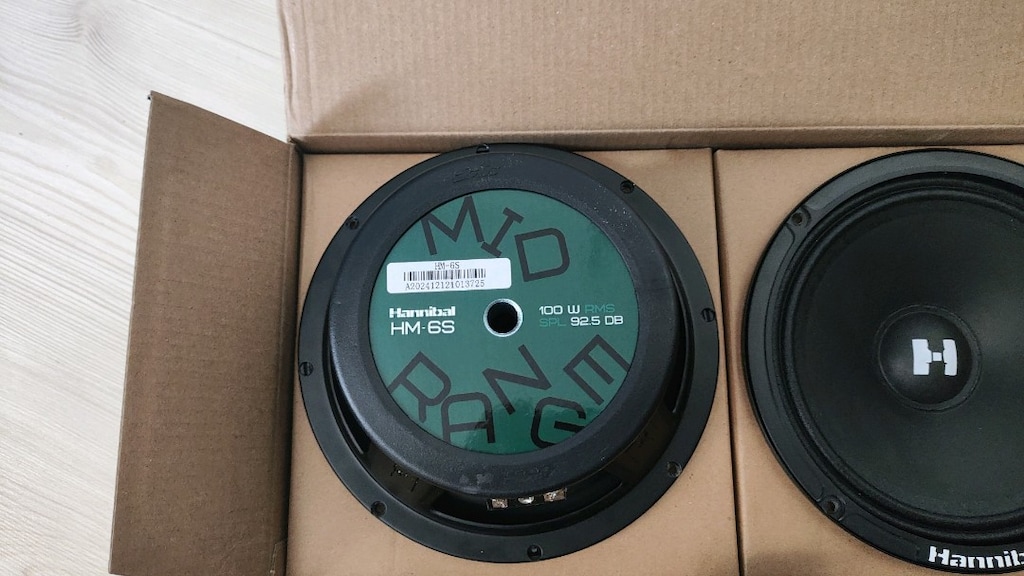 Mid Range Çıplak Hoperlör 100w 100rms Oto hoperlör - 2