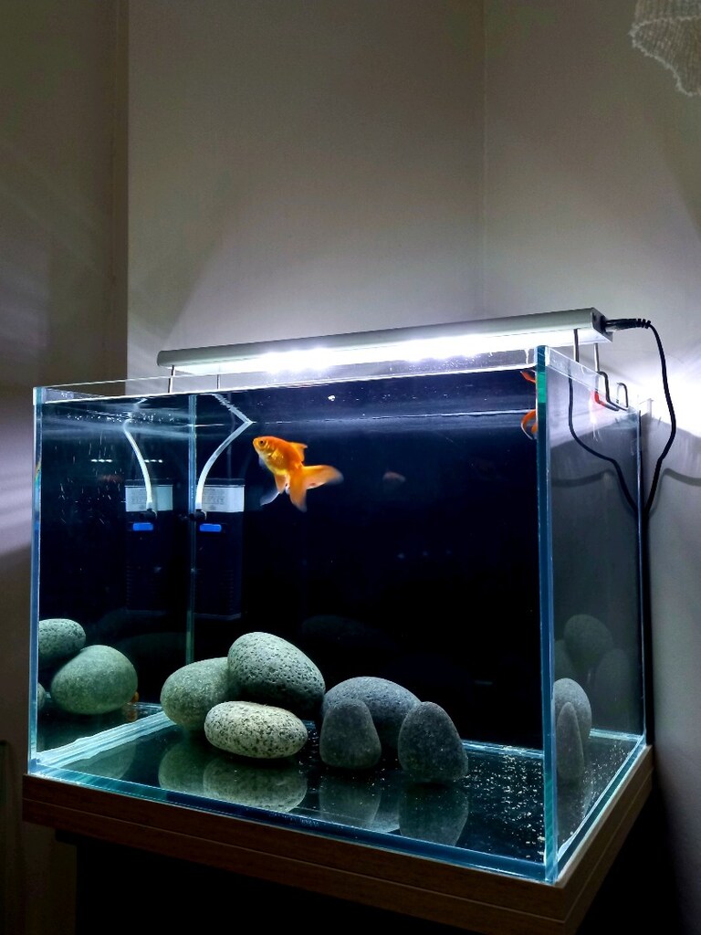 nano akvaryum set 40x30x30 - 4