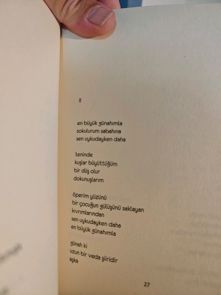 yazarlardan 11 adet şiir kitabı - 16