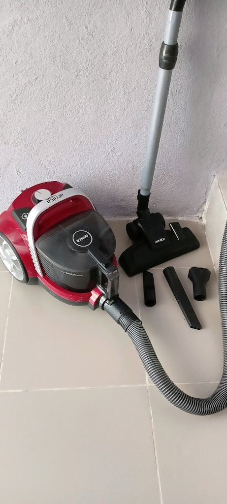 arnika süpürge - 4