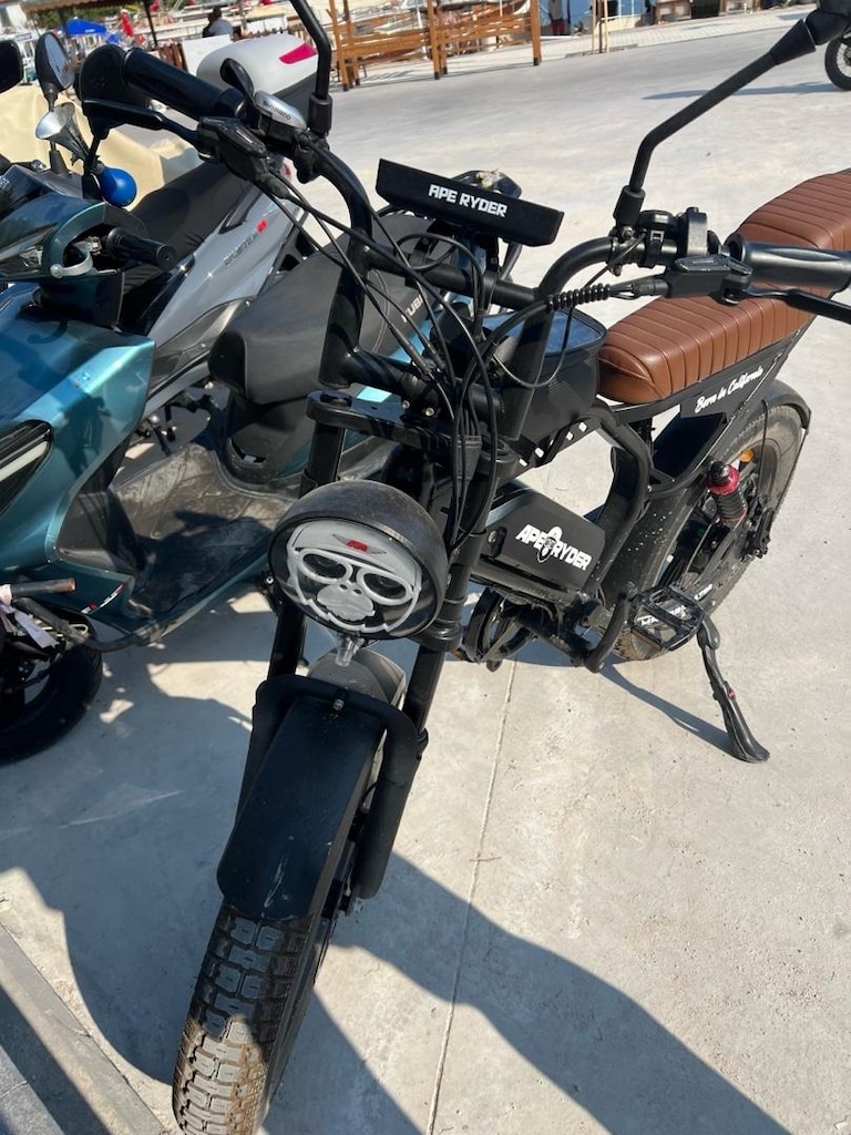Ape Ryder Mandrill E Bilke 1000W