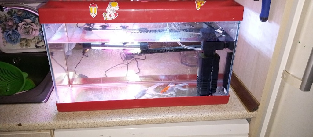 akvaryum+motor + ışıklandırma
