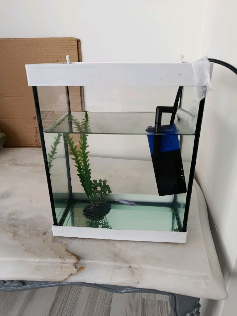 mini akvaryum - 4