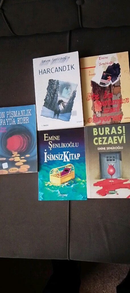 EMİNE ŞENLİKOĞLU KİTAPLARI - 12