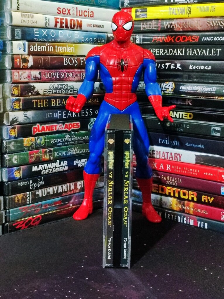 Hayri Pıtır ve Sırlar Odası VCD Film - 6