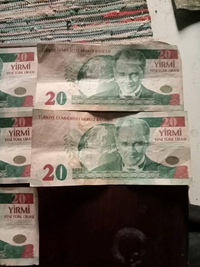 koleksiyonluk eski YTL paralar - 12