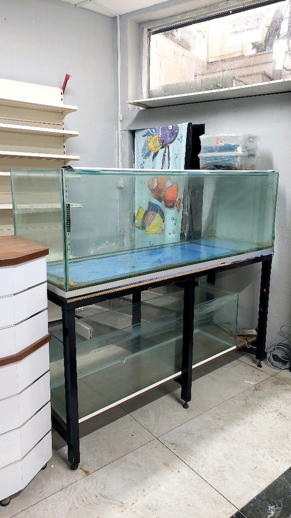 Dev Akvaryum 180x60x60 - 2