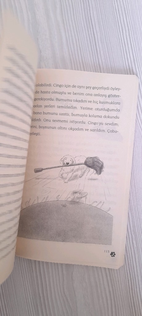 CİNGO BEN İNSAN DEGILMIYIM - 3