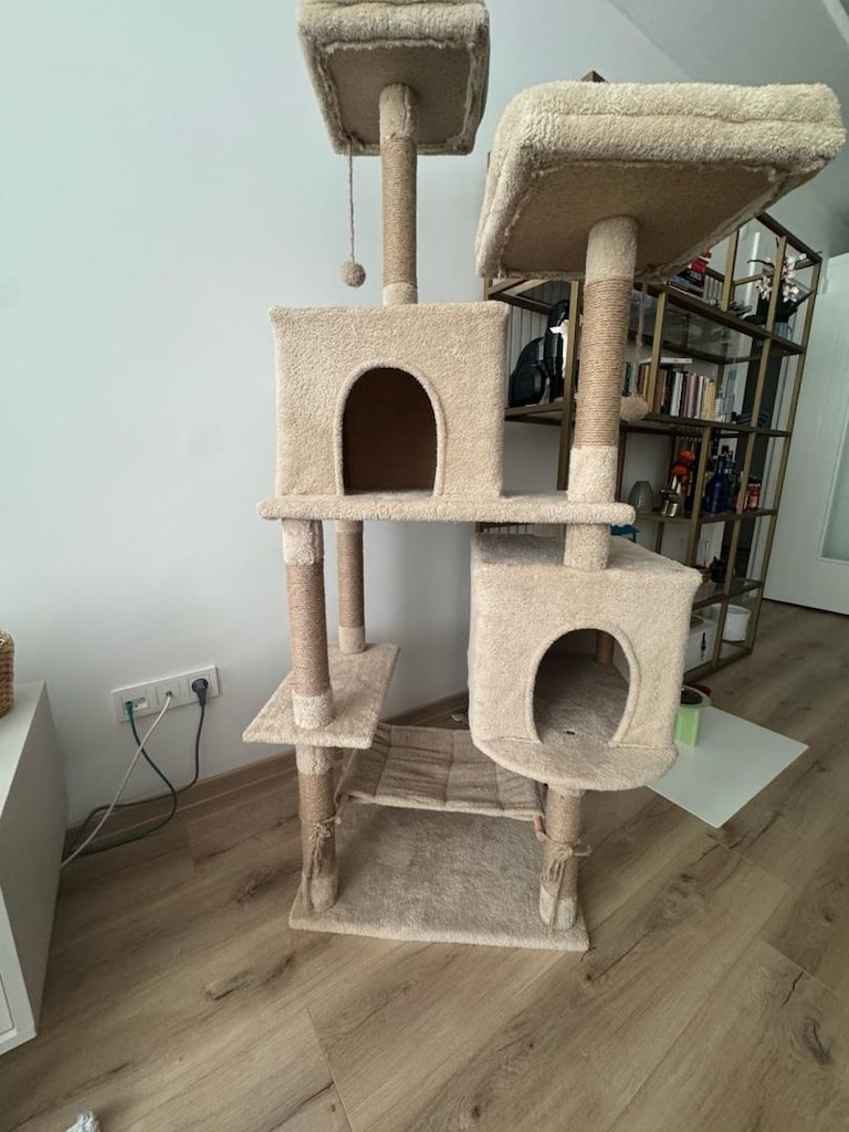 XL kedi evi