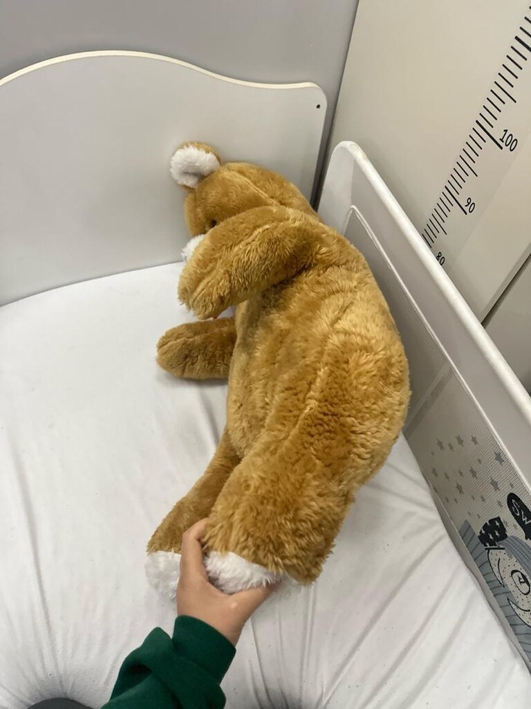 büyük peluş ayı - 4