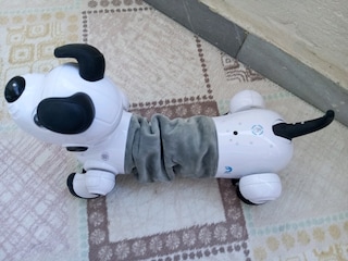 Robot köpek kumandalı - 6