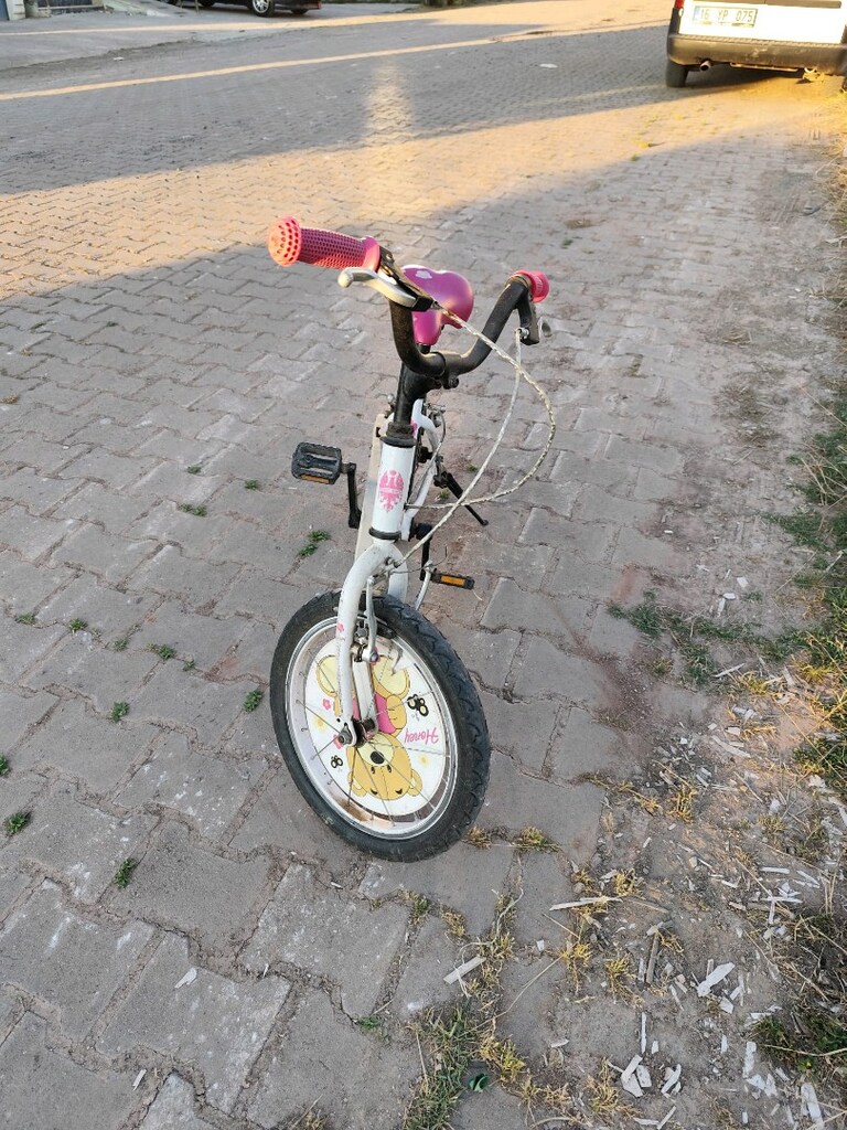 sorunsuz bisiklet - 2