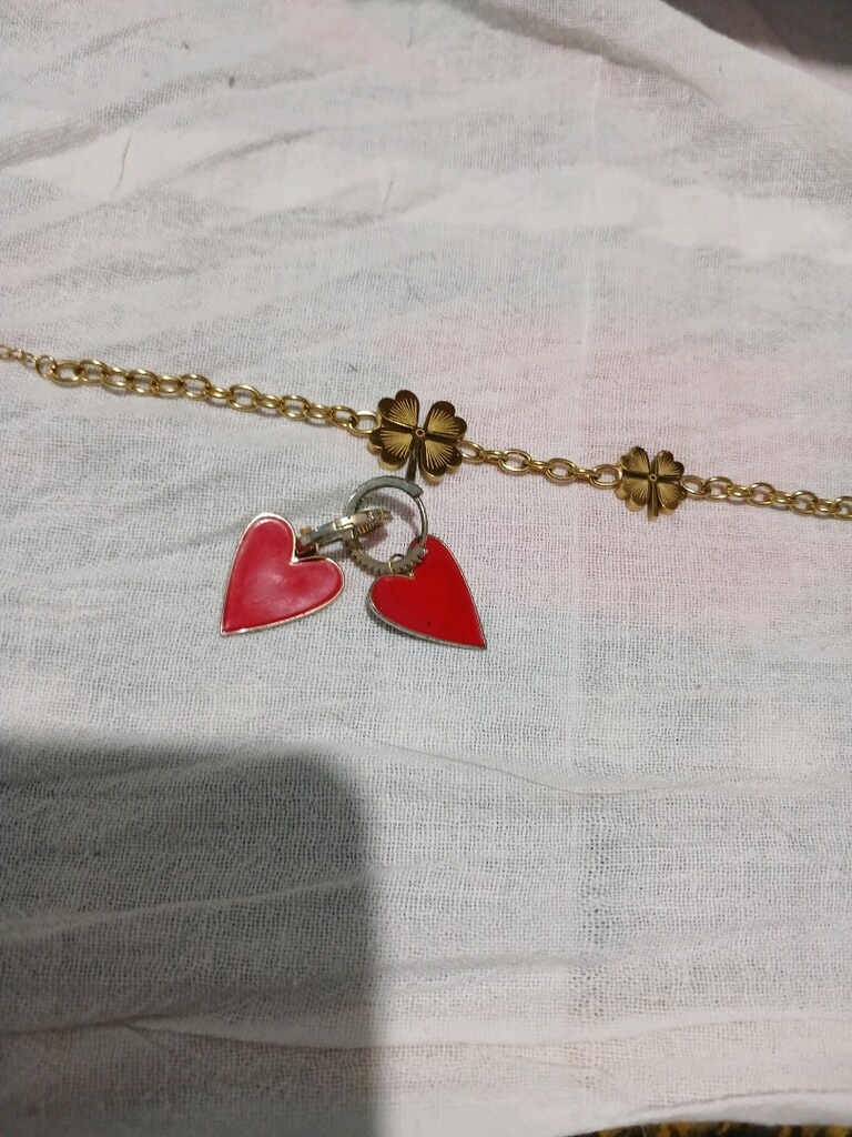 çelik bileklik ve küpe - 2