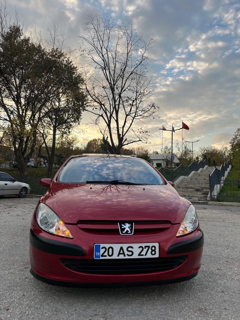 307 safkaaaannn - 5