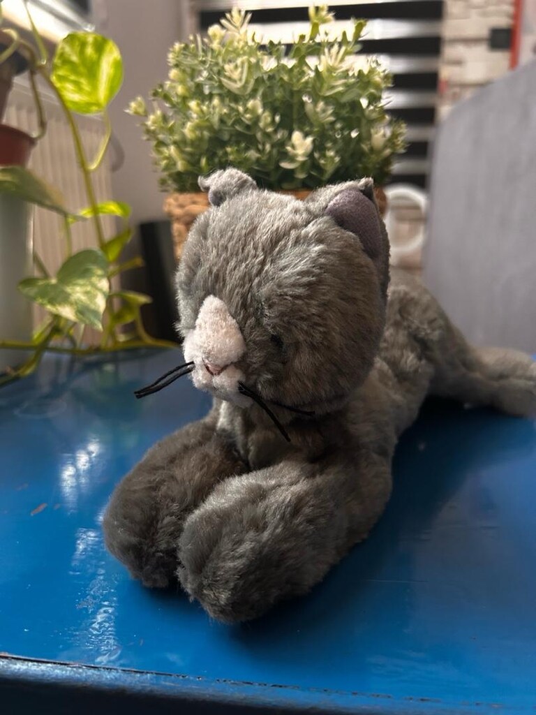 Ikea oyuncak kedi - 4