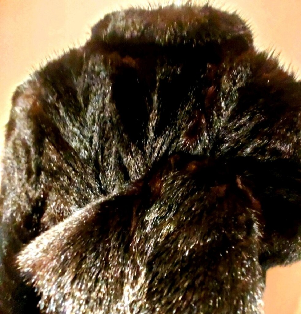 MODERN DESIGN FASHION BLACK VİZON PRIVATE LUXURY WOMEN FUR - 8