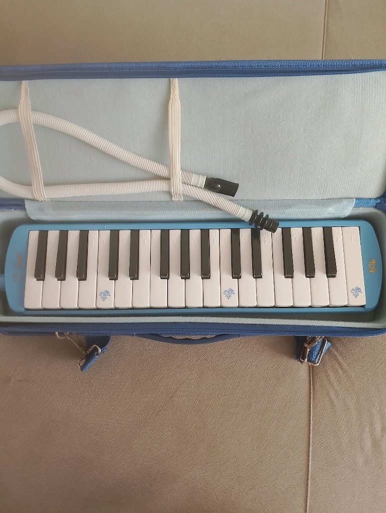 melodika - 3