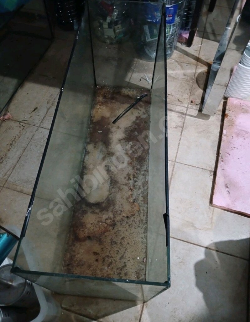 150 ltsaglam akvaryum - 2