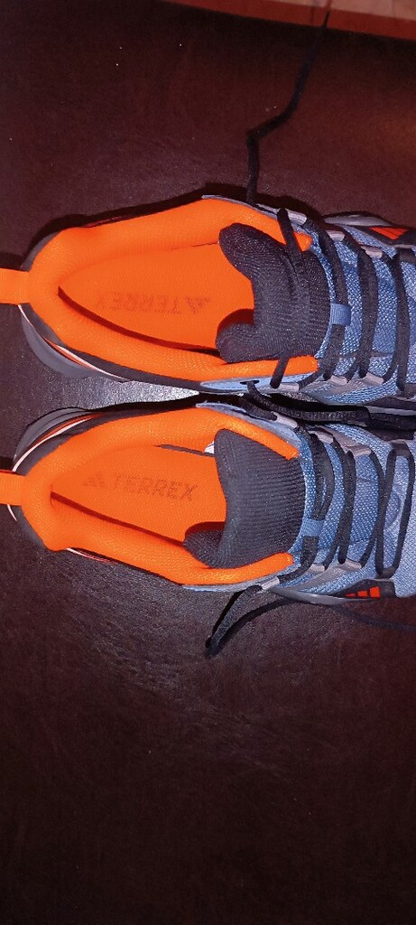 Orijinal Adidas terrex Gore - 7