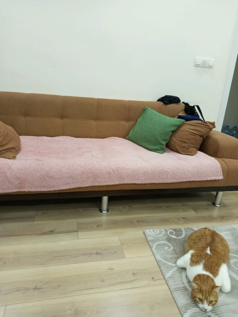 koltuk kanepe yatak oluyor - 2