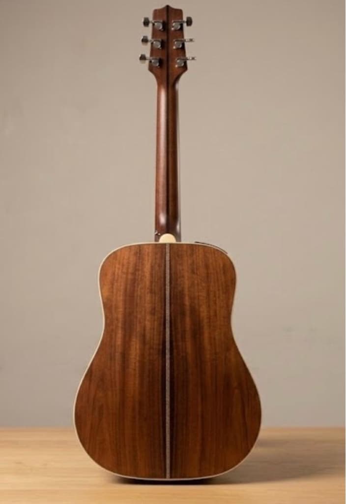 Takamine GD20 NS Akustik Gitar - 4