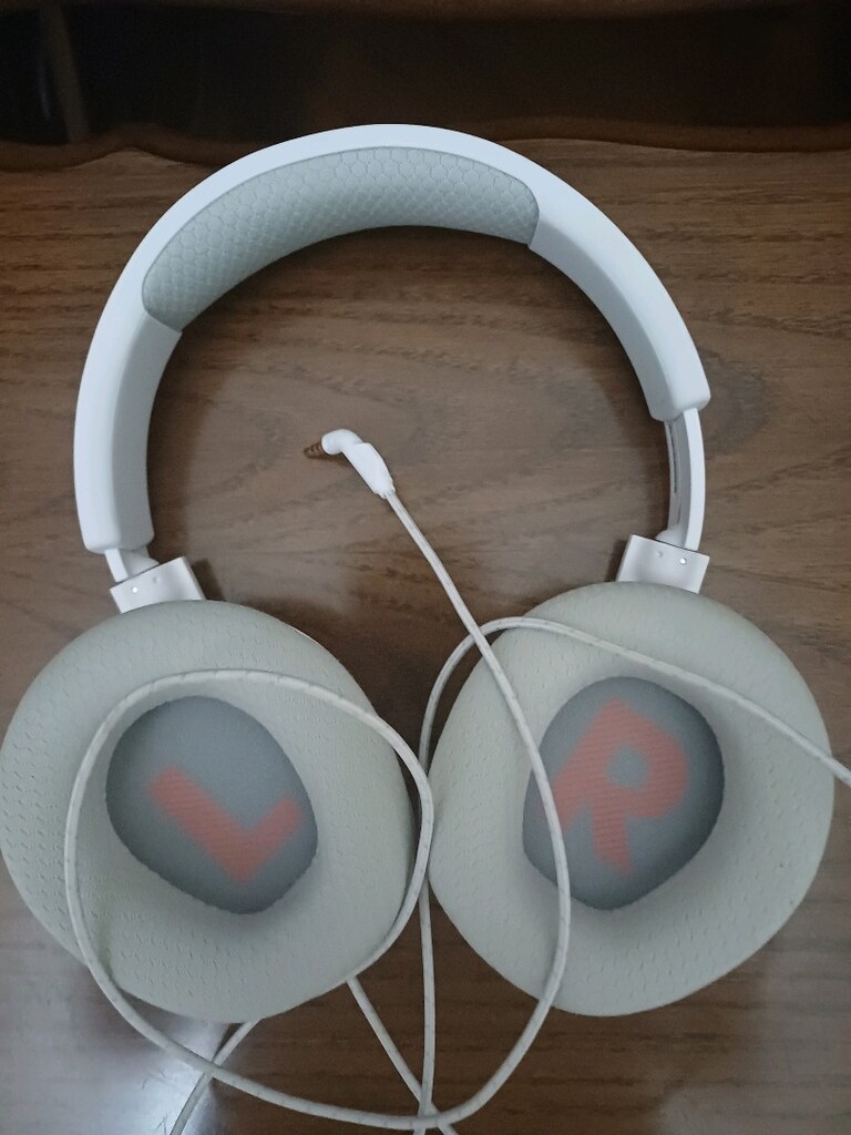 JBL KABLOLU KULAKLIK - 3