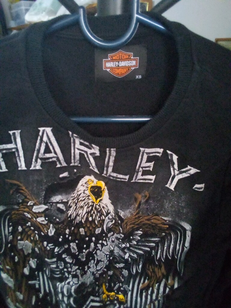 Harley Davidson t-shirt orijinal desenli temiz uzun kol M — görsel 5/7