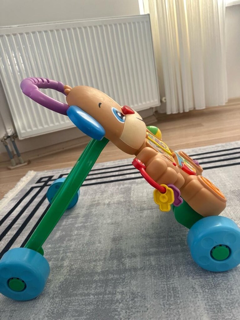 Fisher Price Köpekçik Yürüme Arkadaşı - 9