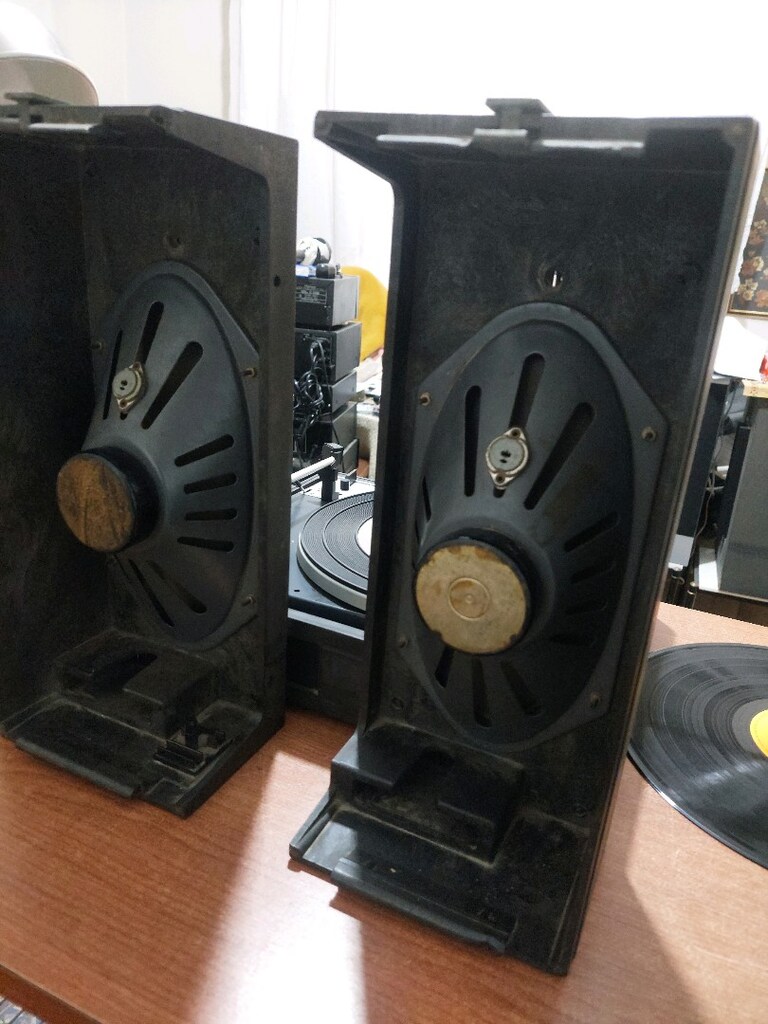 Dual P 60 wintage - 2