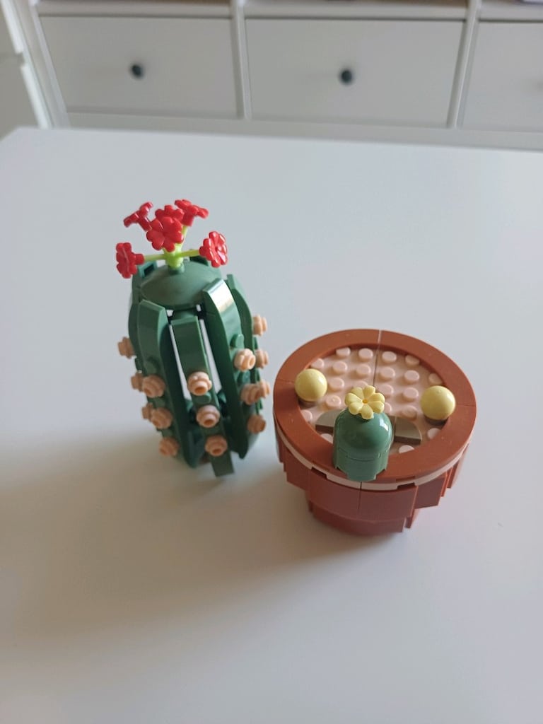 Lego Kaktüs Çiçek - 6